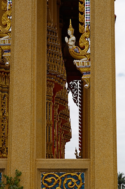 Talin chan-NOV13-109